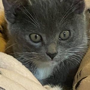 Meet your Posher, Cindi